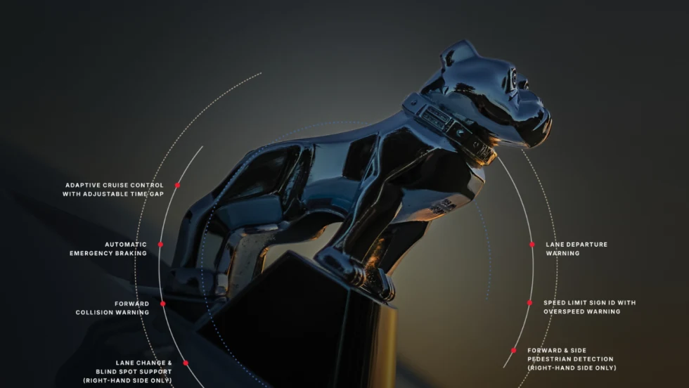 Bulldog statue against a grayish background and small text explaining features of new safety tech.
