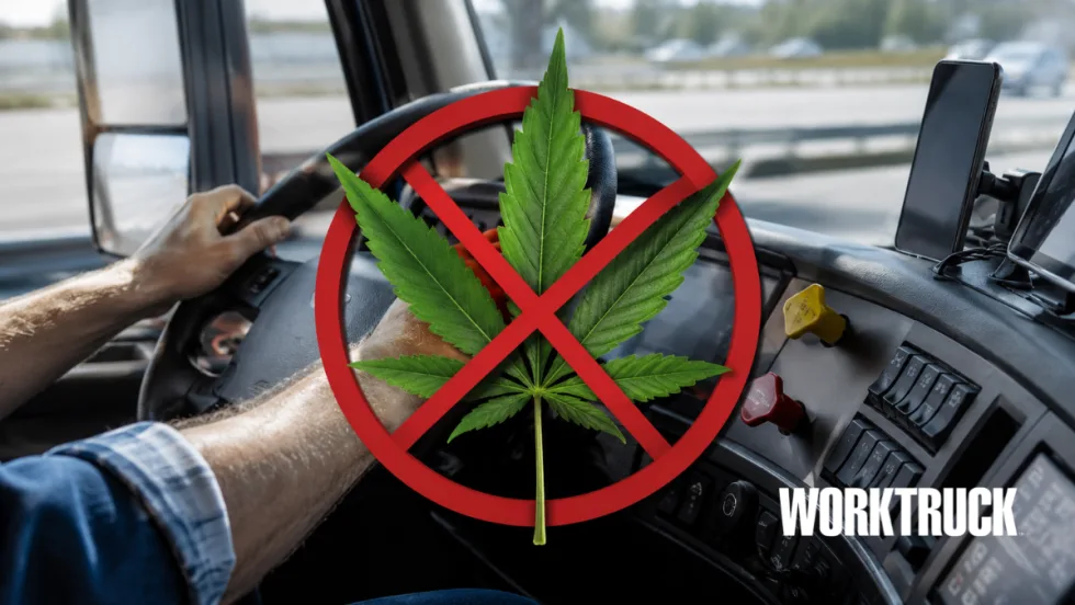 View from inside a commercial truck cab showing a driver at the wheel with a large marijuana leaf overlaid by a red prohibition symbol, illustrating DOT restrictions on marijuana use for commercial drivers.