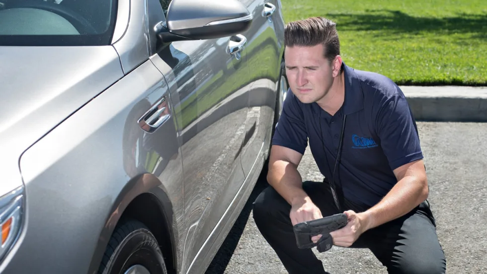 Vehicle inspector looking down the left side of a gray vehicle for any damage.