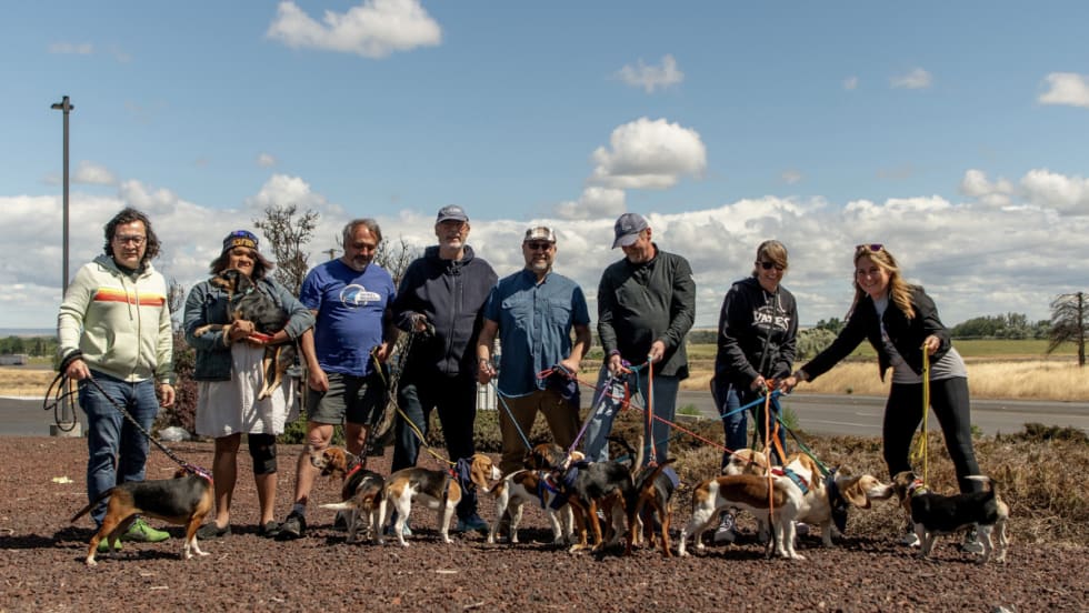 EV drivers posing with rescued dogs on leashes.