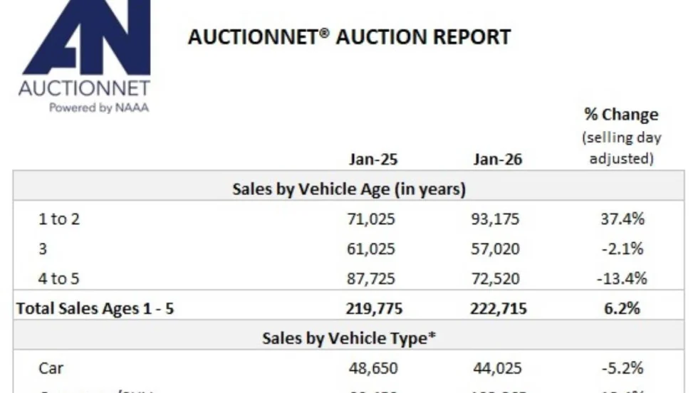 Summary table of January auction sales report.
