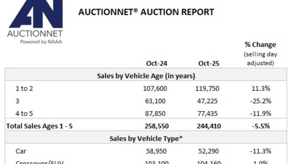 Table of auction wholesale vehicle sales by category.