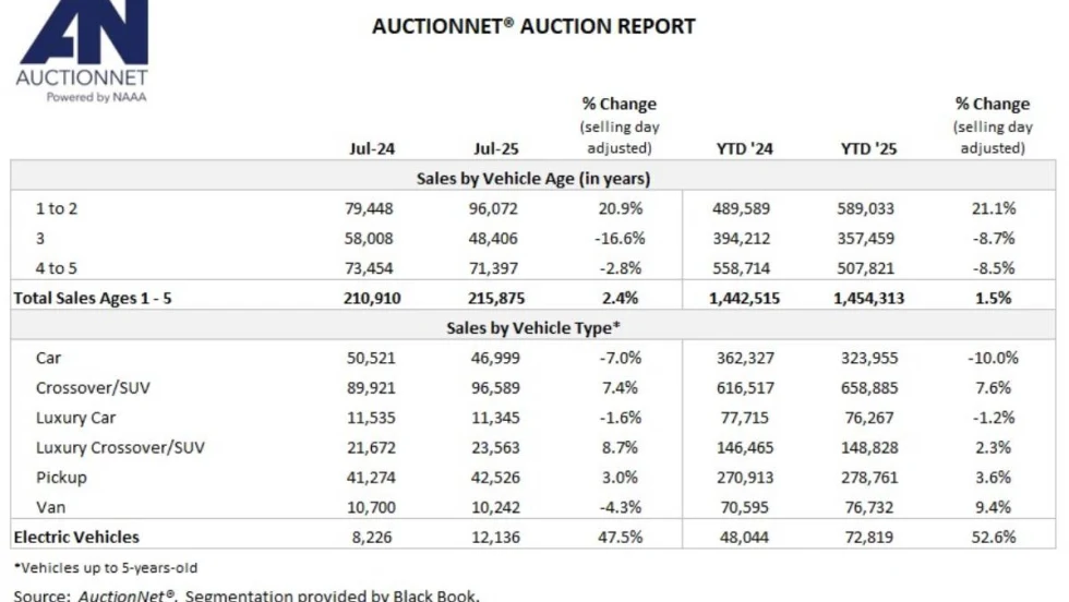 A summary chart of auction market sales by segment from AuctionNet.
