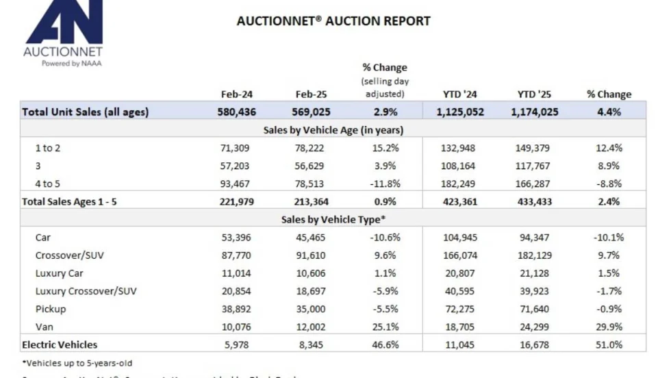 A black and while chart summarizing Feb. 2025 auction vehicle sales.