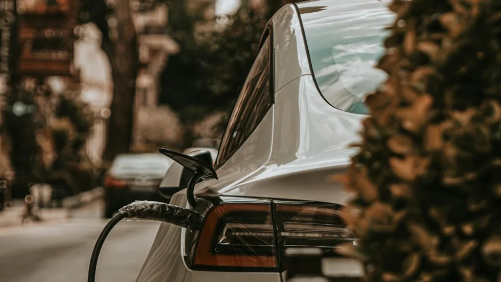 A rear view of an electric vehicle charging while parked on the street. Part of the car is obscured by a bush.
