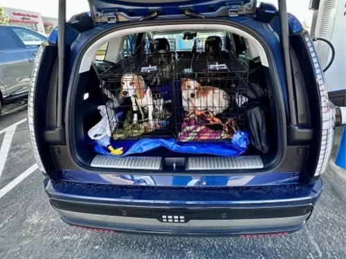 Two beagles looking out from cages in the rear compartment of an IONIQ 9 all-electric SUV.