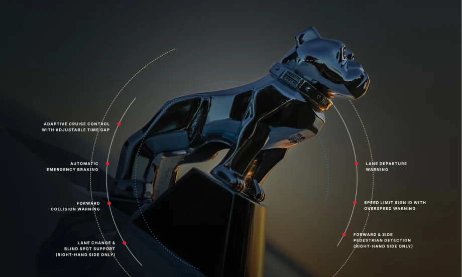 Bulldog statue against a grayish background and small text explaining features of new safety tech.