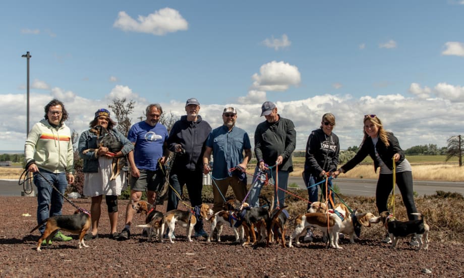 EV drivers posing with rescued dogs on leashes.