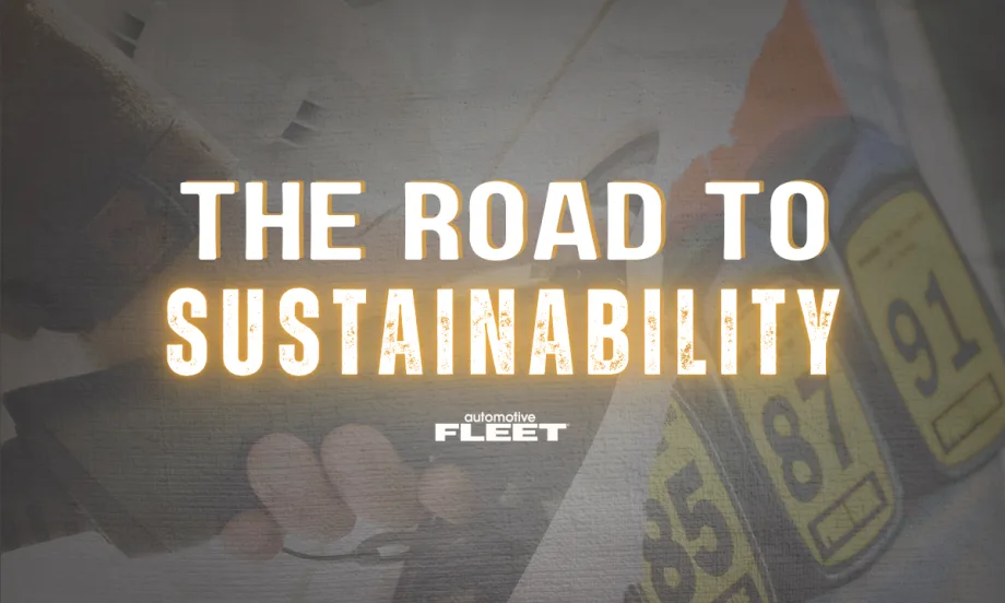 A graphic that reads "The Road to Sustainability".