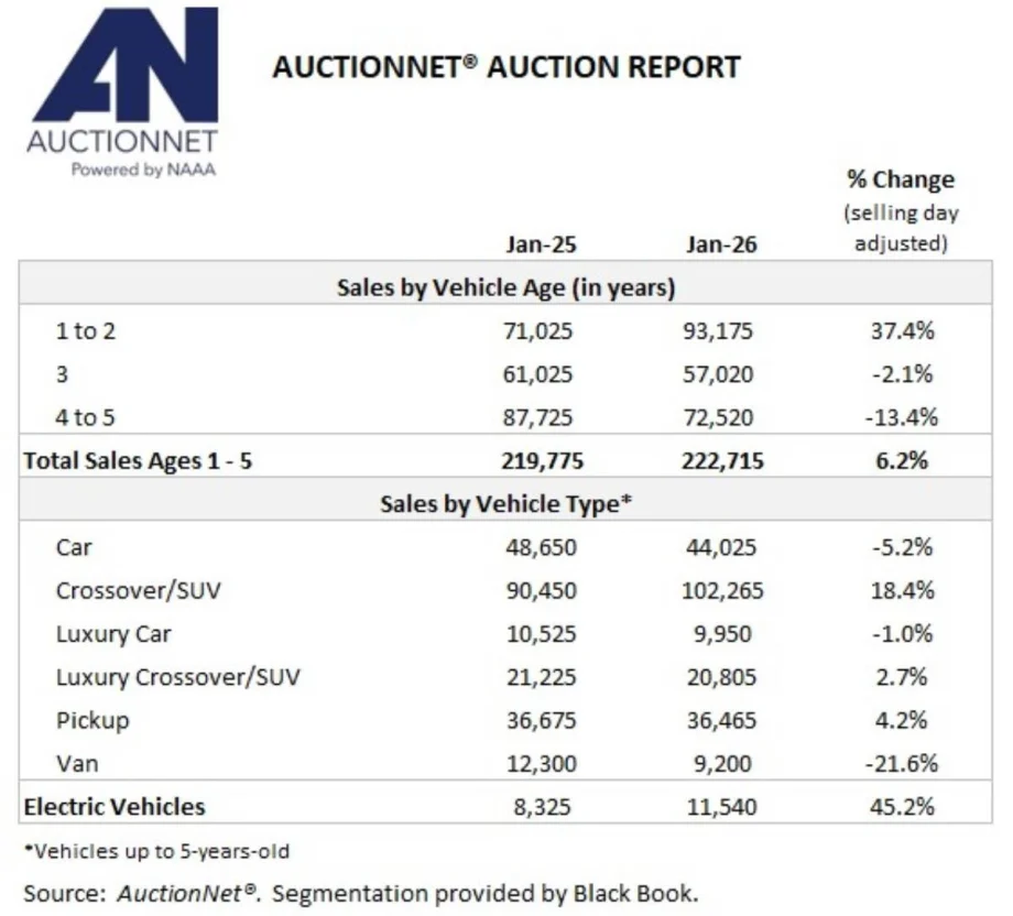 Summary table of January auction sales report.