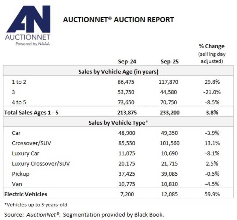 Auction Sales in Q3 and YTD Rise At Steady Pace