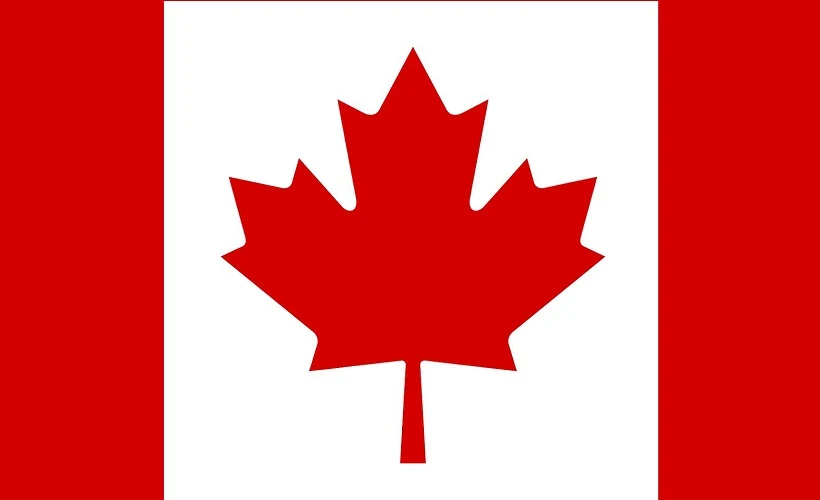 Assessment of the Commercial Fleet Market in Canada for 2019-2020