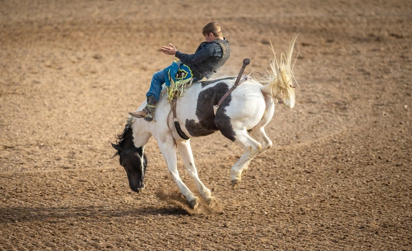 Time in the Saddle Is the Secret to Becoming a Great Fleet Manager