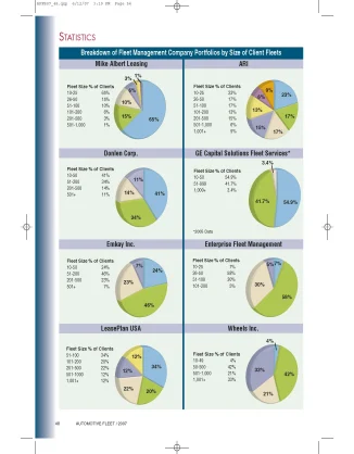 2006 Fleet Size in Lessor Portfolios